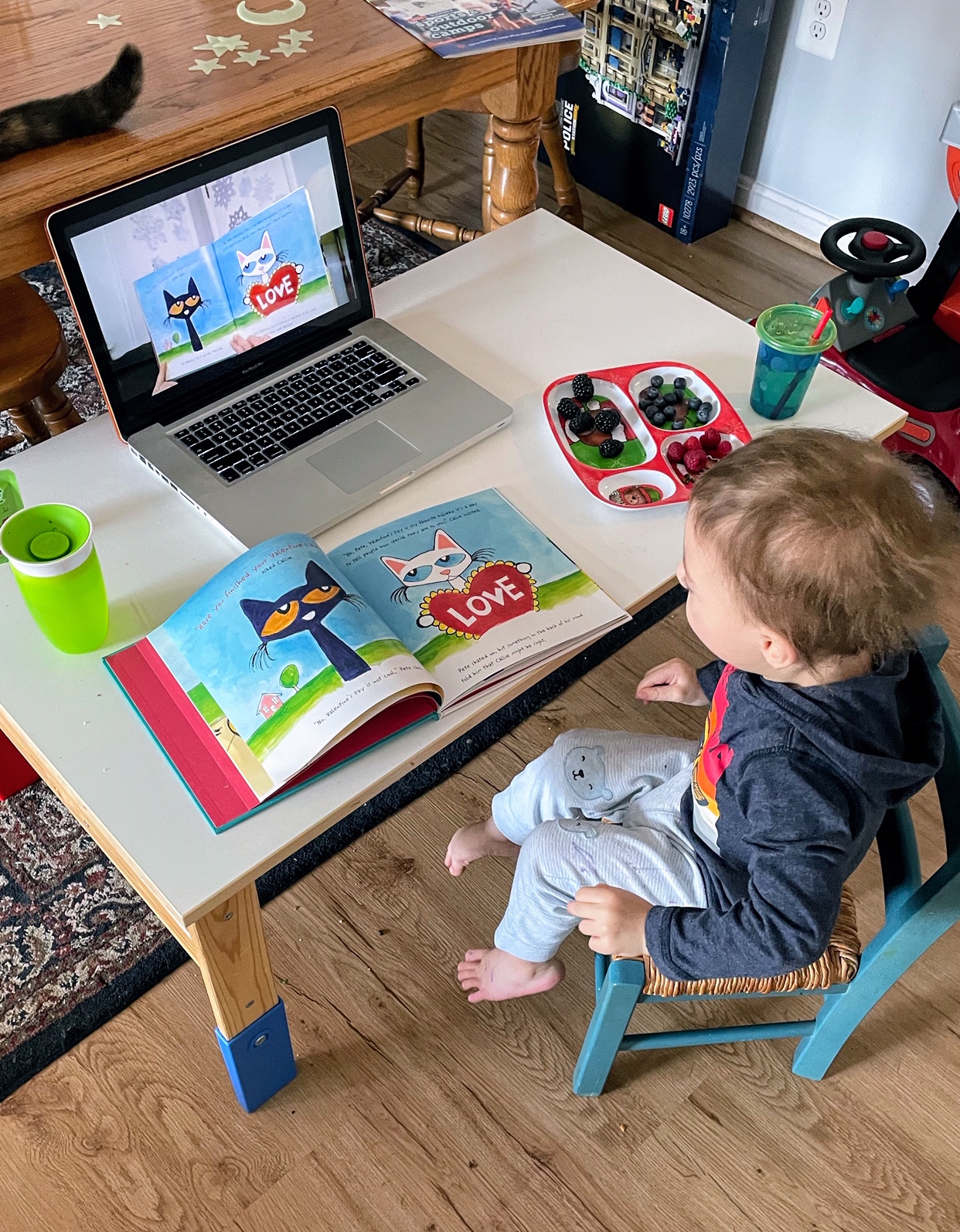 Child sitting at desk watching Story Time on computer and following along with book