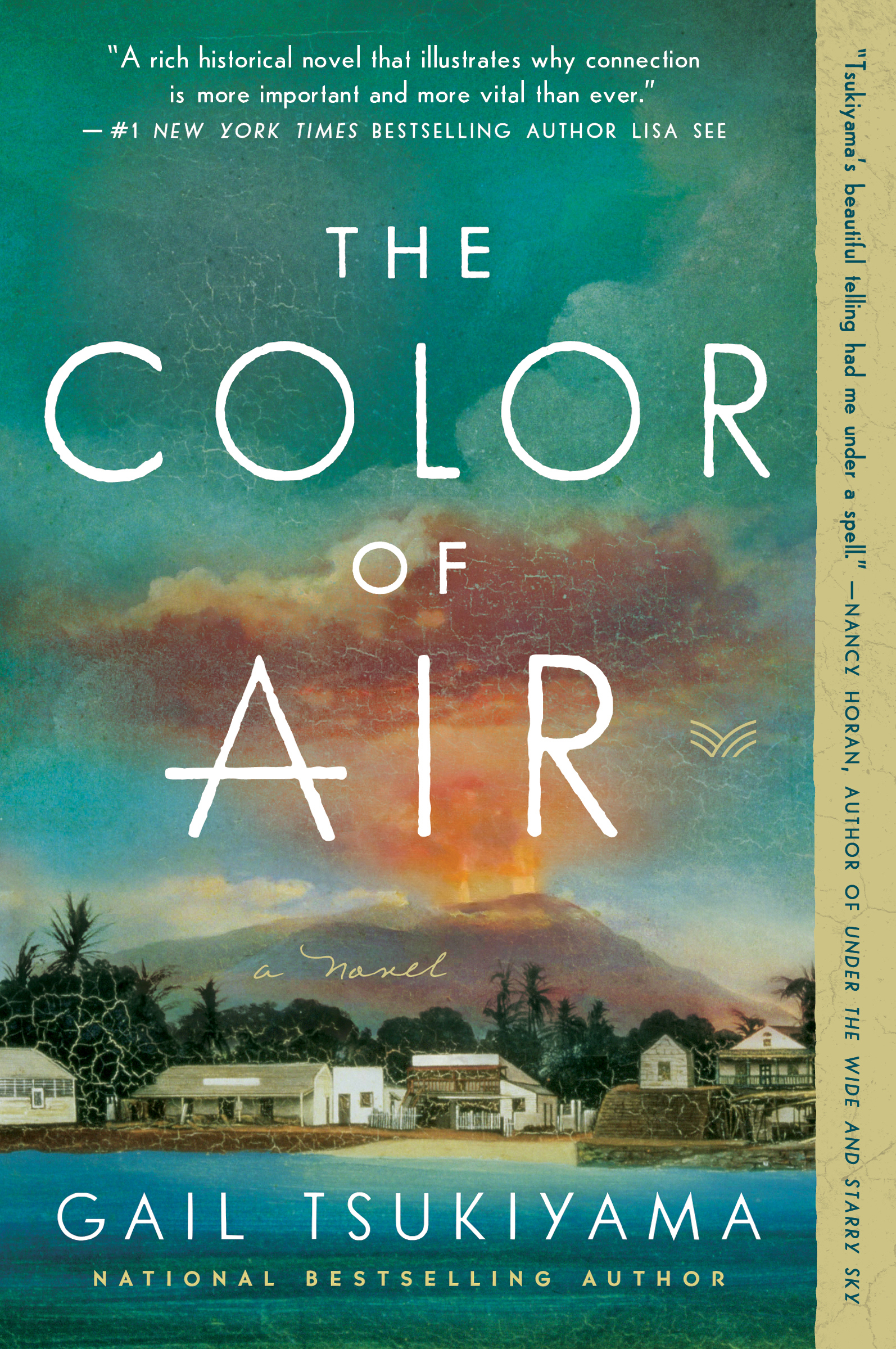The Color of Air book cover