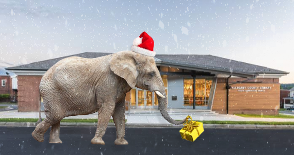 White Elephant on 1st Street