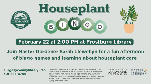 Houseplant bingo: Join Master Gardener Sarah Llewellyn for a fun afternoon of bingo games and learning about houseplant care 