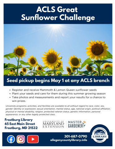  Sunflowers against a blue sky, ACLS great sunflower challenge. all details with text in event description. Seeds available starting May 1.