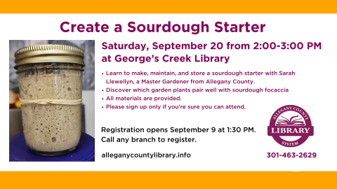 Sourdough class graphic.