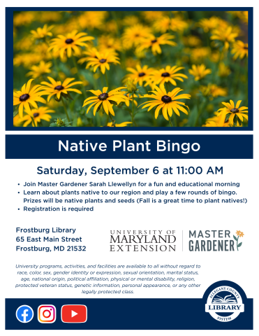 black eyed susans and text about native plant bingo. All details in event description