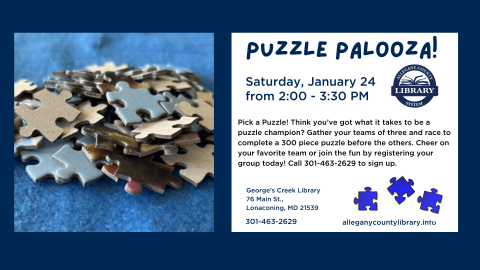 Puzzle Palooza graphic for 01242026.