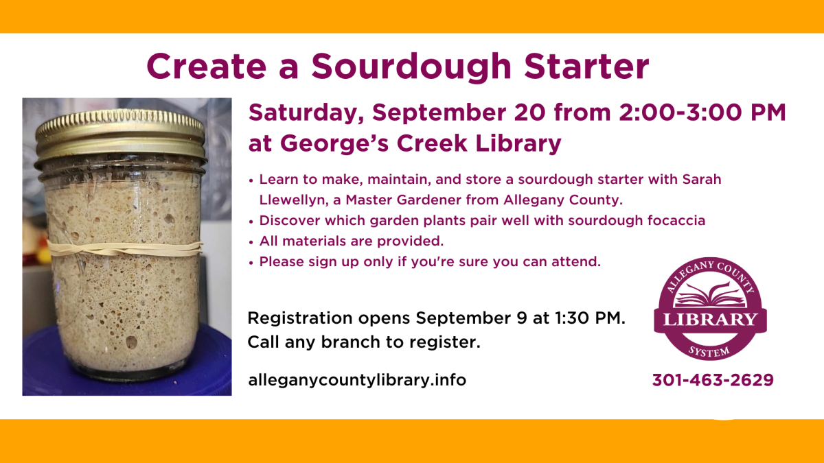 Sourdough class graphic.