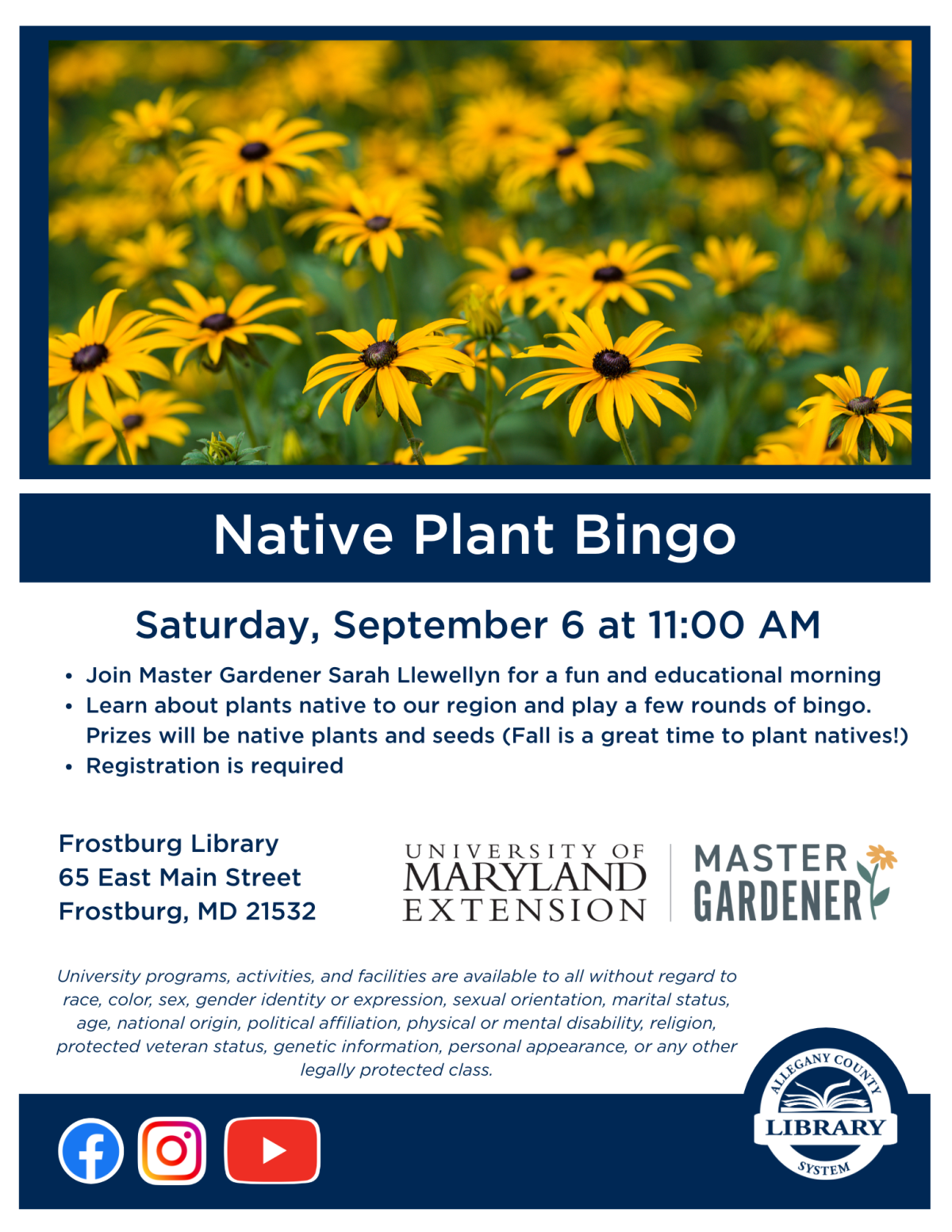 black eyed susans and text about native plant bingo. All details in event description